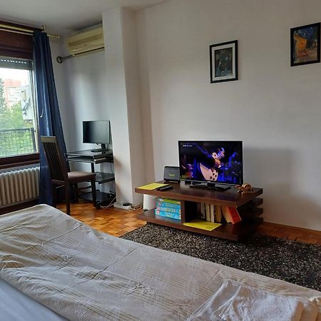 Apartment Student City, Wifi 300Mbs Belgrad Zewnętrze zdjęcie