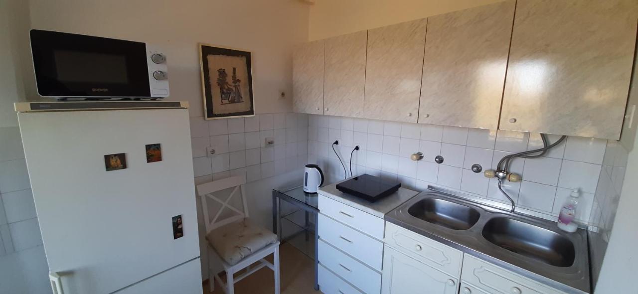 Apartment Student City, Wifi 300Mbs Belgrad Zewnętrze zdjęcie