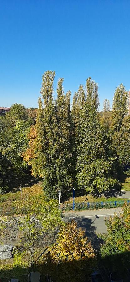 Apartment Student City, Wifi 300Mbs Belgrad Zewnętrze zdjęcie